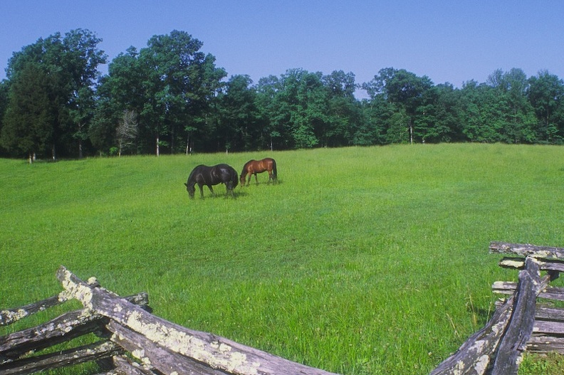 Oscar Blevins Homestead 1.jpg